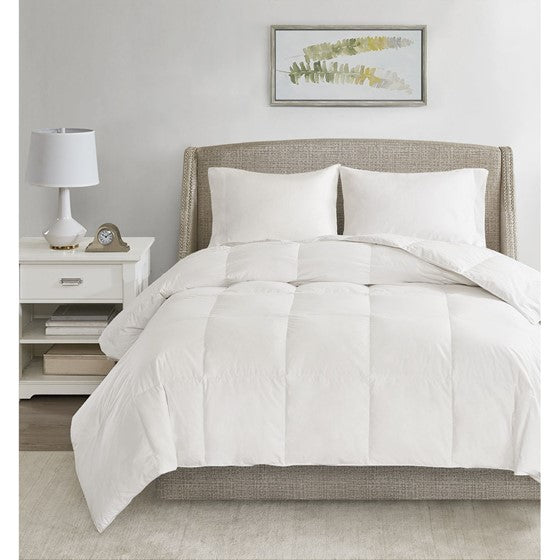 All Season Oversized 100% Cotton Down Comforter